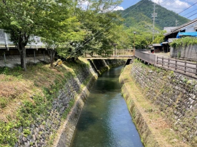曽代用水